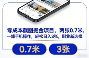 零成本截图掘金项目，两张0.7米，一部手机操作，轻松日入3张，副业新选择【揭秘】-知识创作