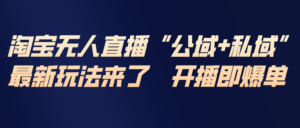 淘宝无人直播最新玩法，包含私域和公域两种玩法-知识创作