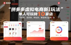 拼多多虚拟电商新玩法，单人可玩转10家店，零成本、成交快、转化快，单店单日盈利3张【揭秘】-知识创作