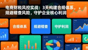 电商财税风控实战：3天构建合规体系，规避稽查风险，守护企业核心利润-知识创作