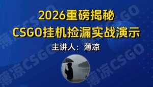 CSGO游戏挂机游戏搬砖最新升级，普通小白一部手机可日入300+当天见结果，支持验证-知识创作