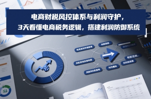 电商财税风控体系与利润守护，3天看懂电商税务逻辑，搭建利润防御系统-知识创作