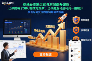 亚马逊卖家运营与利润提升课程，让你的每个SKU都成为爆款，让你的亚马逊利润一路飙升(更新12月)-知识创作
