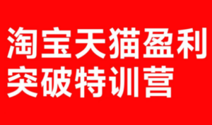 玺承·淘宝天猫盈利突破特训营(25年12月线下课)【音频+字幕】-知识创作