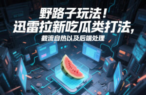 野路子玩法！迅雷拉新吃瓜类打法，截流自热以及后端处理-知识创作