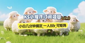 【新一期】小程序订阅_小白几分钟70-80r，可矩阵(已测到账)-知识创作