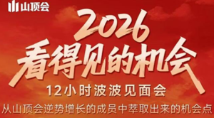 波波·2026看得见的机会12小时波波见面会(东莞线下课2月1日)-知识创作