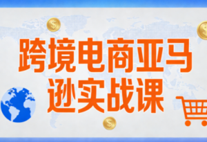 丝丝老师·跨境电商亚马逊实战课(更新2月)-知识创作