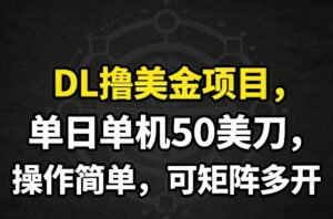 DL撸美金项目，单日单机50美刀，操作简单，可矩阵多开-知识创作