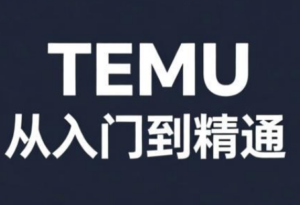 跨境麦冬·TEMU从入门到精通-知识创作