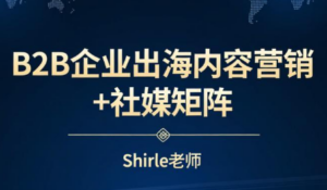 shirle老师·B2B企业出海内容营销+社媒矩阵-知识创作