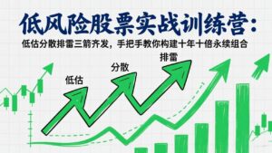 低风险股票实战训练营：低估分散排雷三箭齐发，手把手教你构建十年十倍永续组合-知识创作