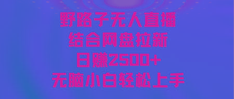 无人直播野路子结合网盘拉新，日赚2500+多平台变现，小白无脑轻松上手操作-知识创作