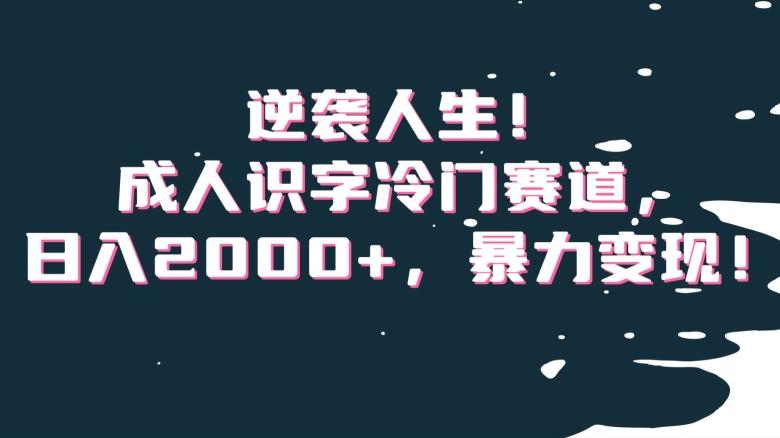 逆袭人生！成人识字冷门赛道，日入2000+，暴力变现！【揭秘】-知识创作