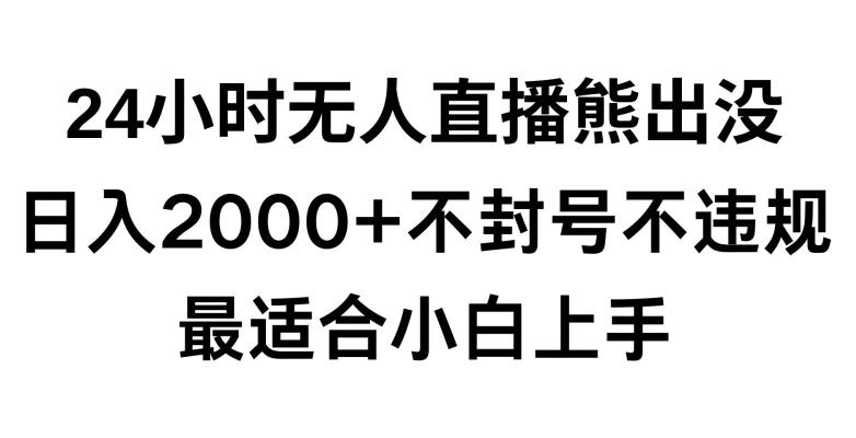 快手24小时无人直播熊出没，不封直播间，不违规，日入2000+，最适合小白上手，保姆式教学【揭秘】-知识创作