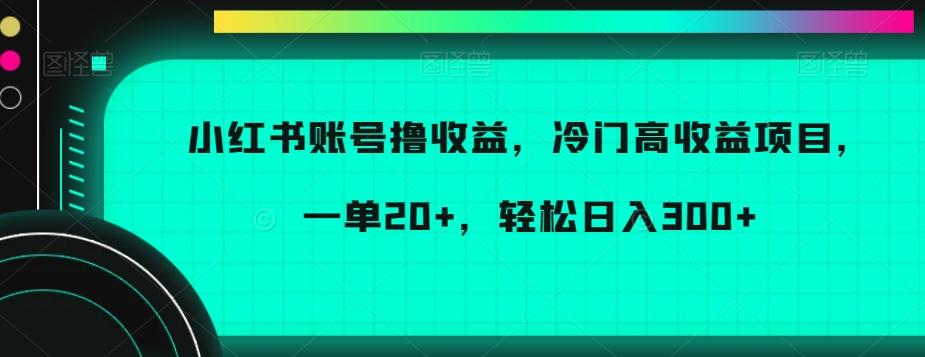 小红书账号撸收益，冷门高收益项目，一单20+，轻松日入300+【揭秘】-知识创作