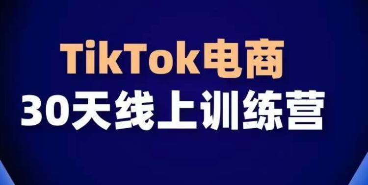 TikTok电商带货30天线上课，不可错过的全球流量洼地！-知识创作
