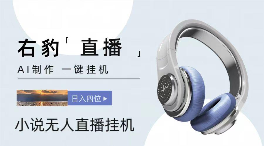 右豹小说无人直播挂机吸金项目，简单易行收益稳定， 月入1000+-知识创作