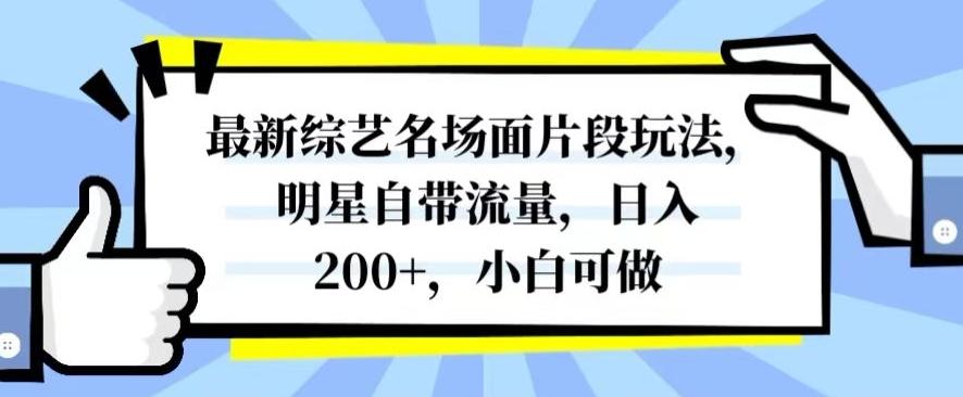 最新综艺名场面片段玩法，明星自带流量，日入200+，小白可做【揭秘】-知识创作