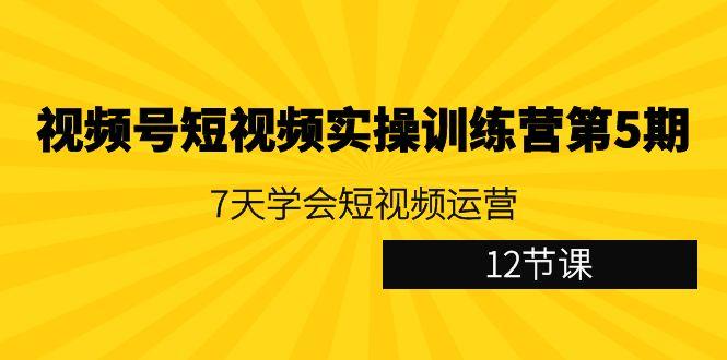 视频号短视频实操训练营第5期：7天学会短视频运营(12节课)-知识创作