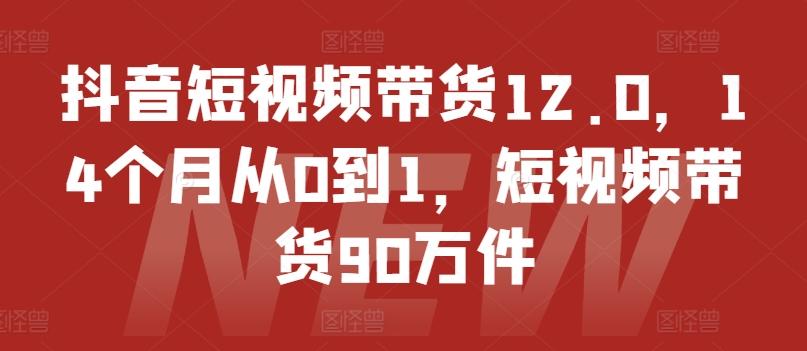 抖音短视频带货12.0，14个月从0到1，短视频带货90万件-知识创作