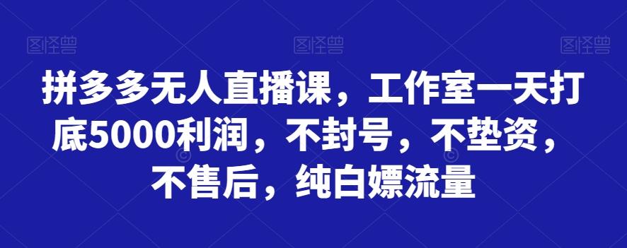 拼多多无人直播课，工作室一天打底5000利润，不封号，不垫资，不售后，纯白嫖流量-知识创作