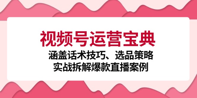 视频号运营宝典：涵盖话术技巧、选品策略、实战拆解爆款直播案例-知识创作