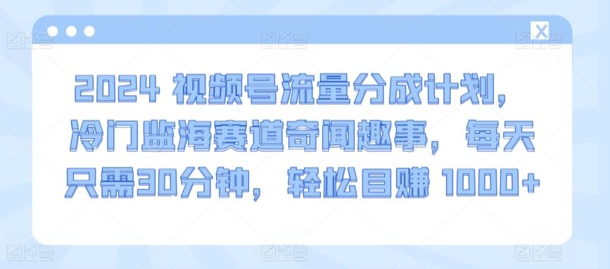 2024视频号流量分成计划，冷门监海赛道奇闻趣事，每天只需30分钟，轻松目赚 1000+【揭秘】-知识创作