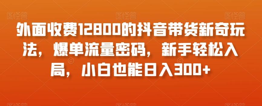 外面收费12800的抖音带货新奇玩法，爆单流量密码，新手轻松入局，小白也能日入300+【揭秘】-知识创作