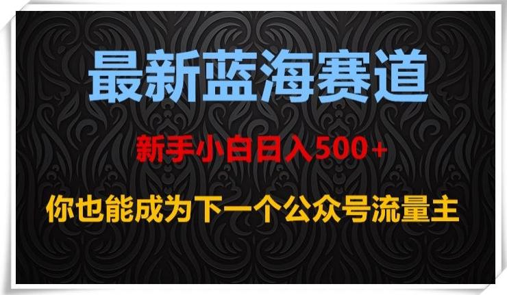 最新蓝海赛道，新手小白日入500+，你也能成为下一个公众号流量主【揭秘】-知识创作