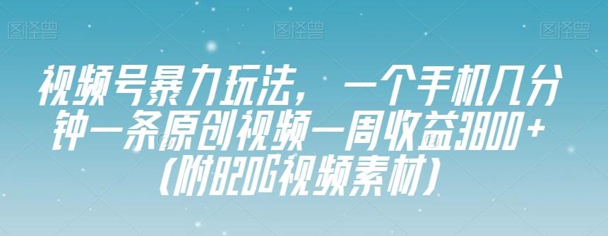 视频号暴力玩法，一个手机几分钟一条原创视频一周收益3800+（附820G视频素材）-知识创作