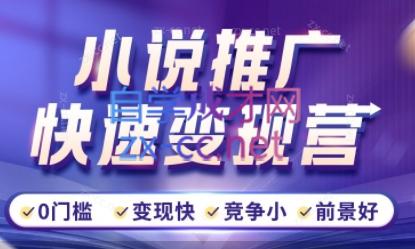 洲洲老师·小说推广快速变现营-知识创作