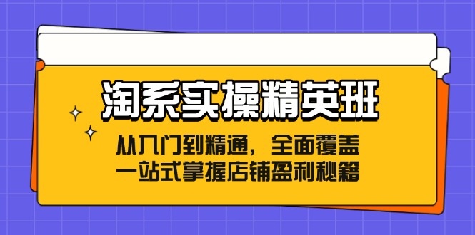 淘系实操精英班：从入门到精通，全面覆盖，一站式掌握店铺盈利秘籍-知识创作
