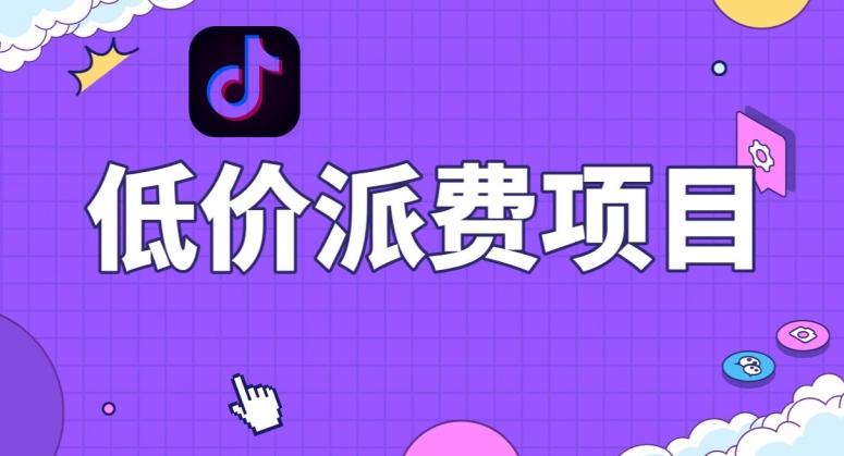 抖音低价派单项目，0门槛，日入1000+很轻松，小白可操作【揭秘】-知识创作