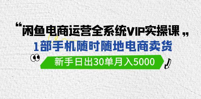 (9547期)闲鱼电商运营全系统VIP实战课，1部手机随时随地卖货，新手日出30单月入5000-知识创作