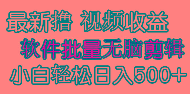 (9569期)发视频撸收益，软件无脑批量剪辑，第一天发第二天就有钱-知识创作