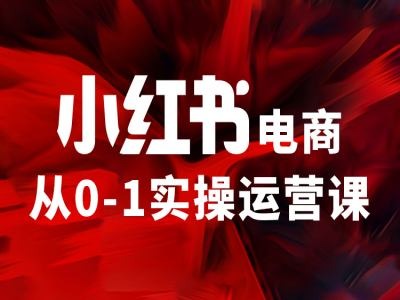 小红书电商从0-1实操运营课，让你从小白到精英-知识创作
