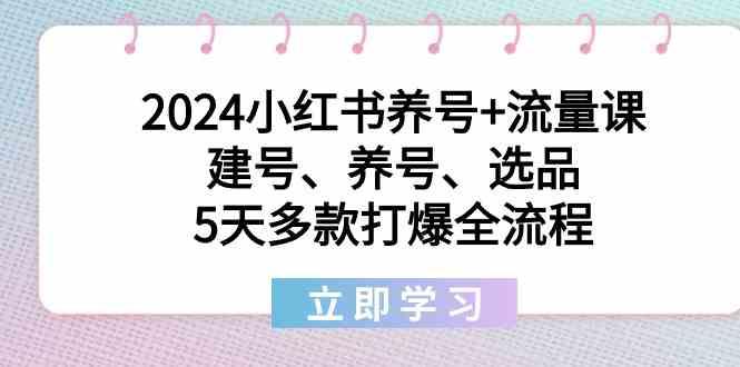 2024小红书养号+流量课：建号、养号、选品，5天多款打爆全流程-知识创作
