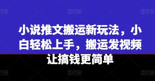 小说推文搬运新玩法，小白轻松上手，搬运发视频让搞钱更简单-知识创作