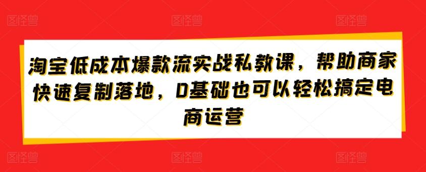 淘宝低成本爆款流实战私教课，帮助商家快速复制落地，0基础也可以轻松搞定电商运营-知识创作