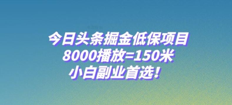 今日头条掘金低保项目，8000播放=150米，小白副业首选【揭秘】-知识创作