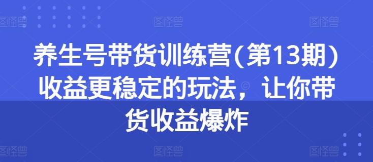 养生号带货训练营(第13期)收益更稳定的玩法，让你带货收益爆炸-知识创作