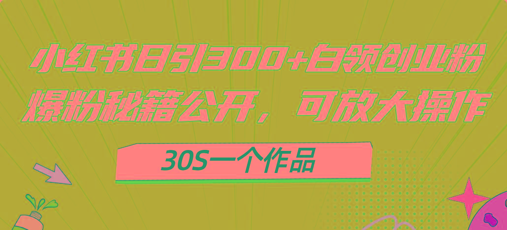 小红书日引300+高质白领创业粉，可放大操作，爆粉秘籍！30s一个作品-知识创作