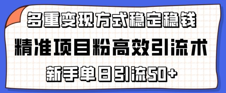 精准项目粉高效引流术，新手单日引流50+，多重变现方式稳定赚钱【揭秘】-知识创作