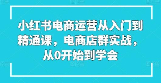 小红书电商运营从入门到精通课，电商店群实战，从0开始到学会-知识创作