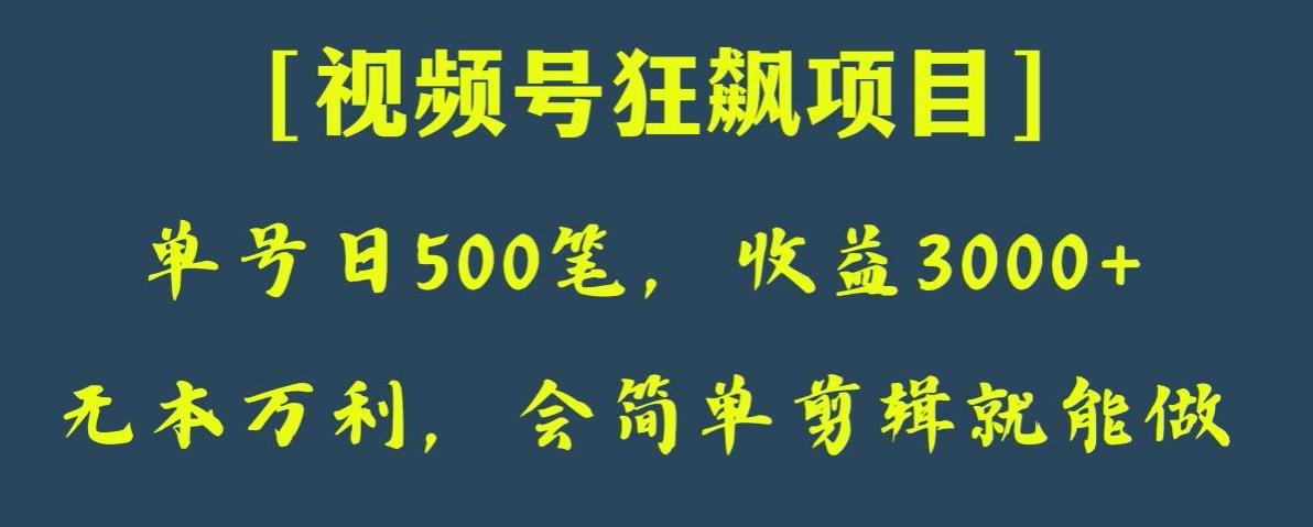 日收款500笔，纯利润3000+，视频号狂飙项目，会简单剪辑就能做【揭秘】-知识创作