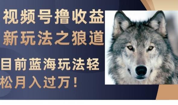 视频号撸收益新玩法之狼道，目前蓝海玩法，轻松月入过万【揭秘】-知识创作