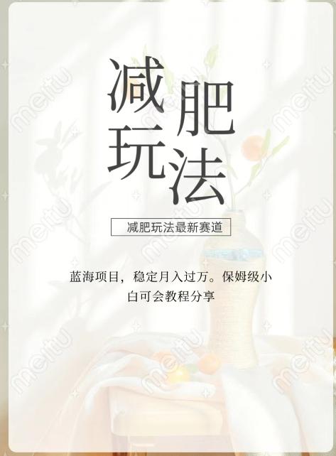减肥流量主新玩法，轻松月入1W，可矩阵操作收入翻倍-知识创作