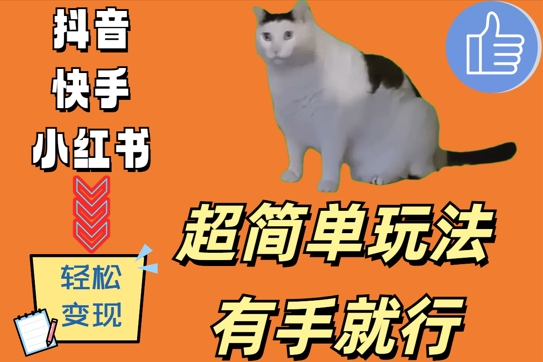 超简单玩法，有手就行，靠猫咪视频日入500+【揭秘】-知识创作
