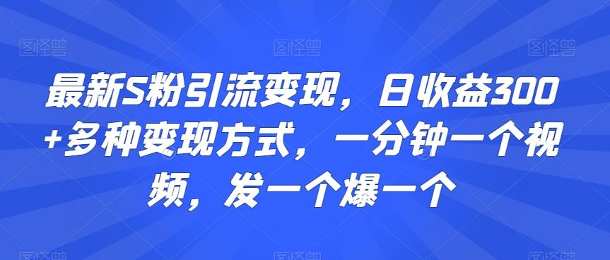 最新S粉引流变现，日收益300+多种变现方式，一分钟一个视频，发一个爆一个【揭秘】-知识创作